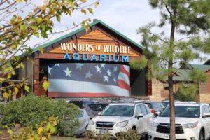 JOY Group goes to Wonders of the Wildlife Museum